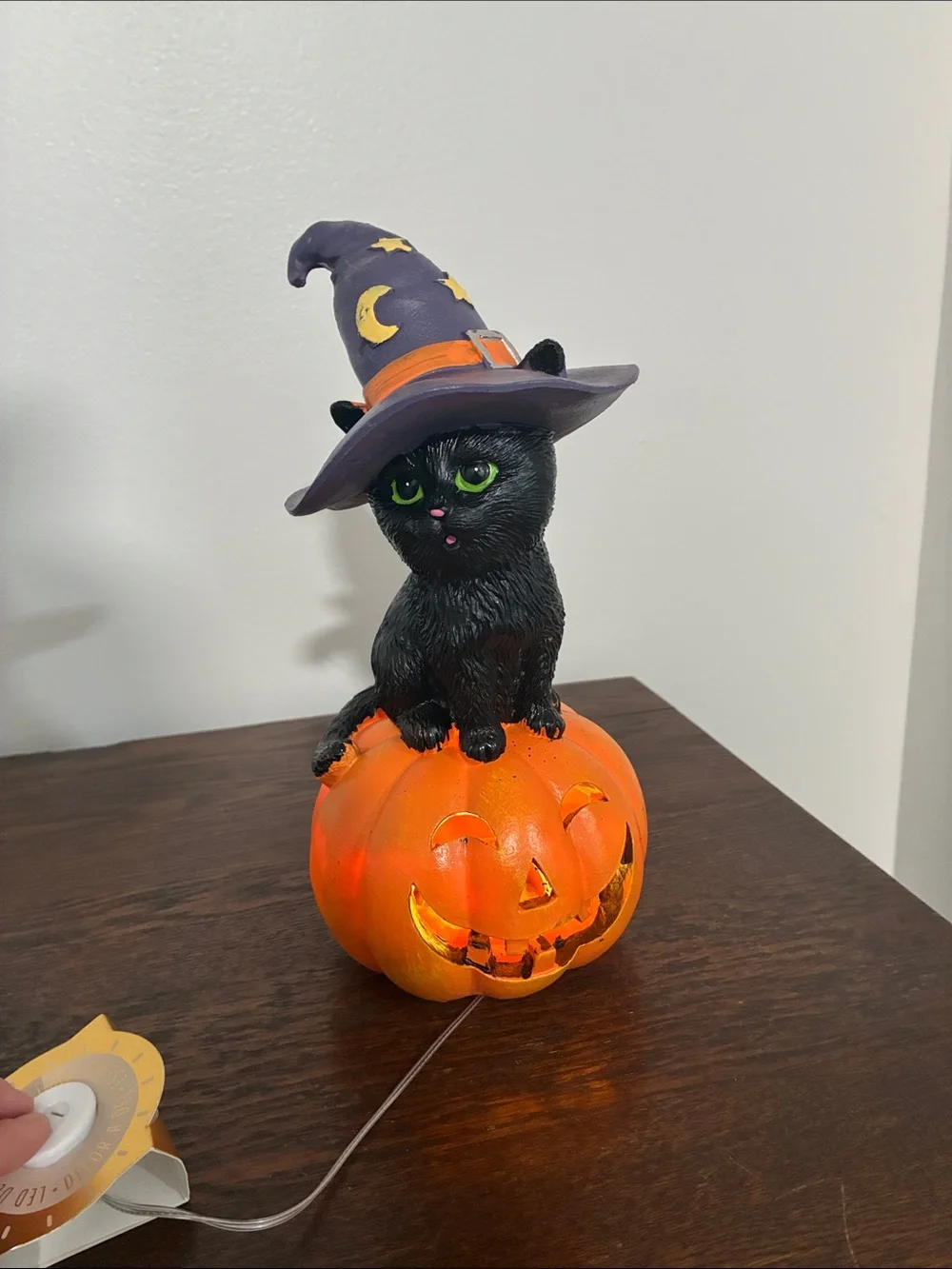 NWT- Black Cat w/ Purple Witch Hat on an LED Light Up Jack-o-lantern Pumpkin